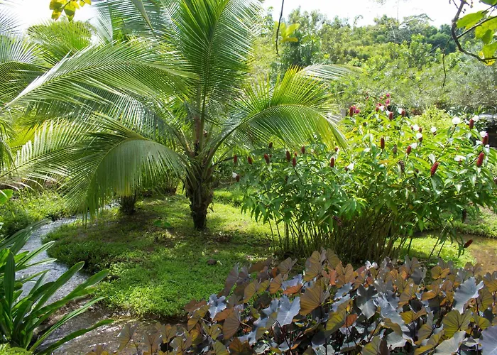 Casa Yami Lodge