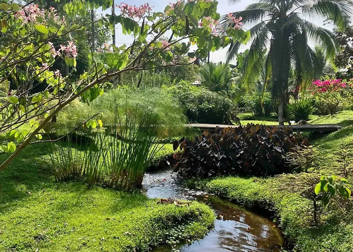 Casa Yami Lodge