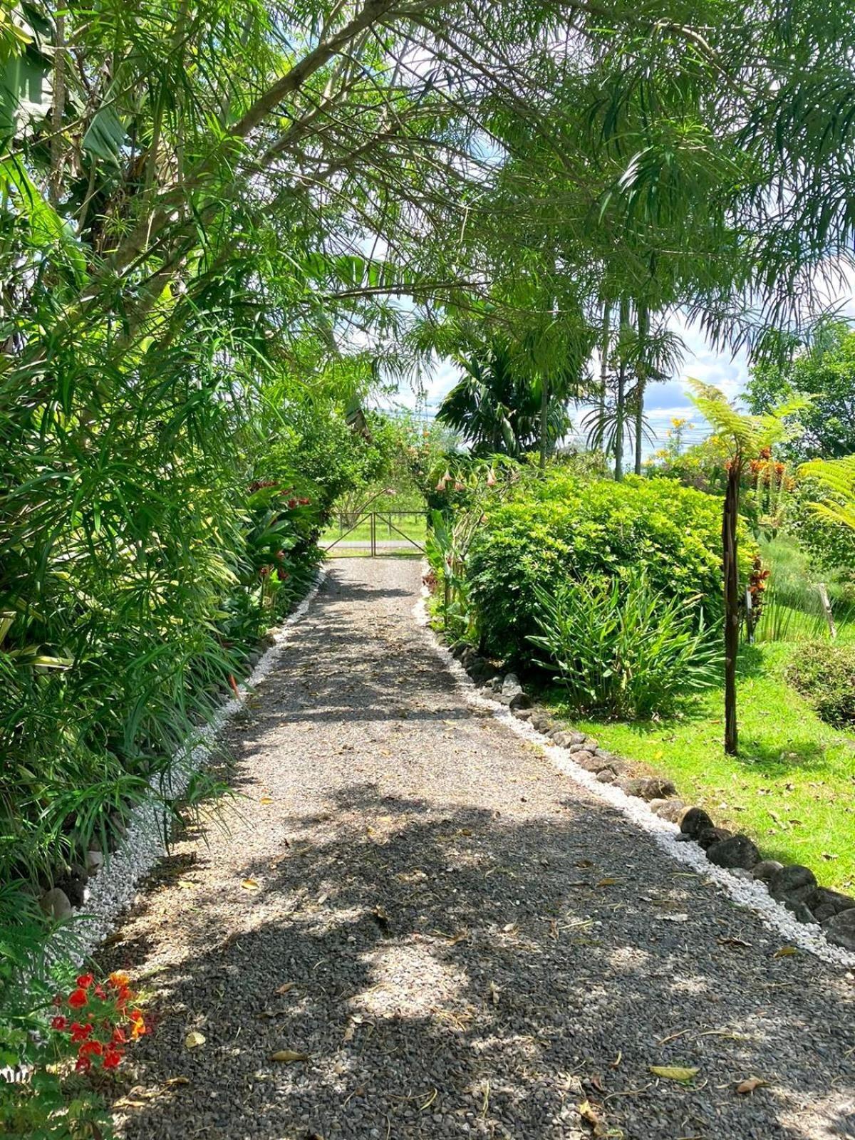 Casa Yami La Fortuna