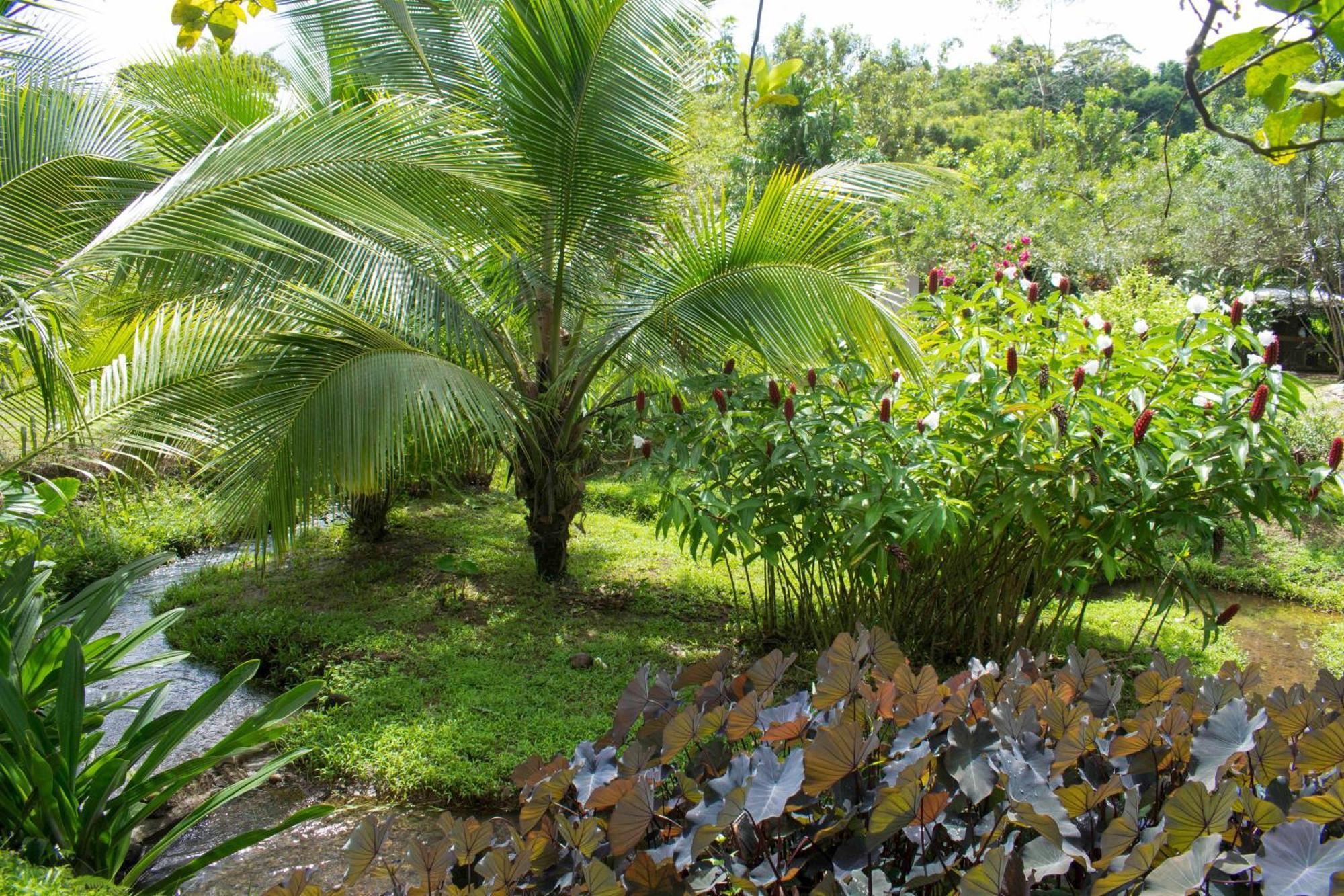 Casa Yami Lodge